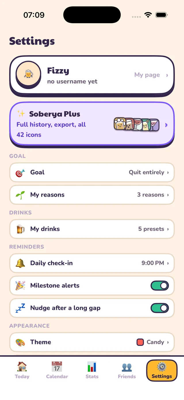 Soberya on iPhone — Settings. Goal, drinks, reminders and theme — all in one short list.