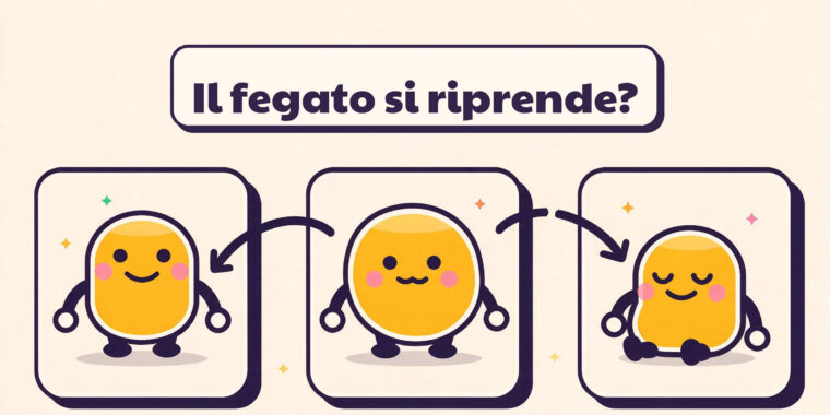 Il Tuo Fegato e l’Alcol: Da Cosa Può (e Non Può) Riprendersi